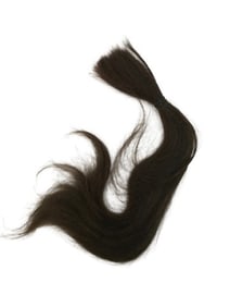 Team America: World Police Carson's Lock of Hair Movie Props