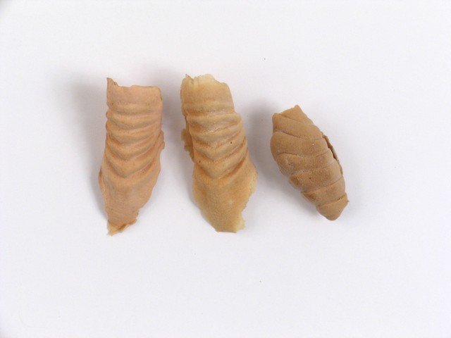 Star Trek Deep Space Nine Bajoran Noses: The Bajorans were a humanoid type species who came from the planet Bajor. They were extremely empathetic, since they were basically refugees of many "ethnic" types, very much like our own immigrants (