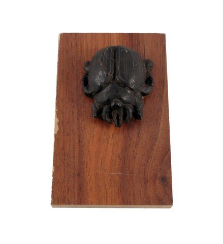 The Mummy (1999) Scarab Beetle Prop: The Mummy (1999) Scarab Beetle Prop - From the hit re-make of "The Mummy" (1999) starring Brendan Fraser comes this screen used static scarab beetle, which has been display mounted on a custom wood st
