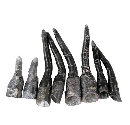Falling Skies Set of 8 Skitter Finger Extensions Movie: This set of 8 tapered Skitter finger extensions was used during stunt sequences in the filming of "Falling Skies." Since Skitters in close-ups are all real and possess distinctive movements, these var