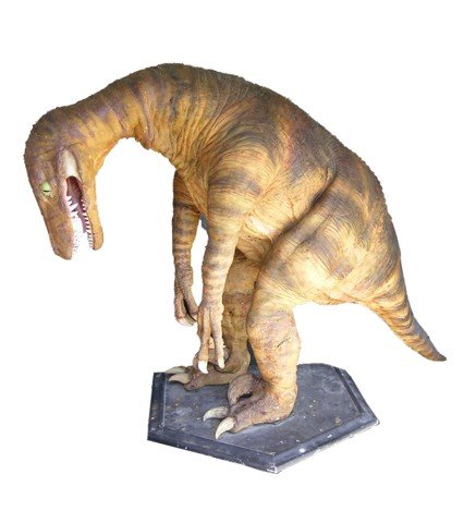 Spy Hard Animatronic Velociraptor Dinosaur Movie Props: An amazing prop from the movie Spy Hard (1996) is a screen used, large animatronic Velociraptor dinosaur. The head and tail are movable and the electronics are present, however the animatronics are no