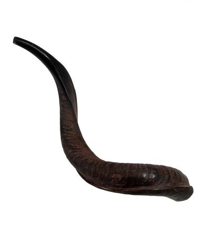 The Lord of the Rings: The Return of the King Wood: From the world loved The Lord of the Rings: The Return of the King (2003) is a production used and acquired very uniquely crafted wood twisted horn. This movie prop measures approximately 18" long.