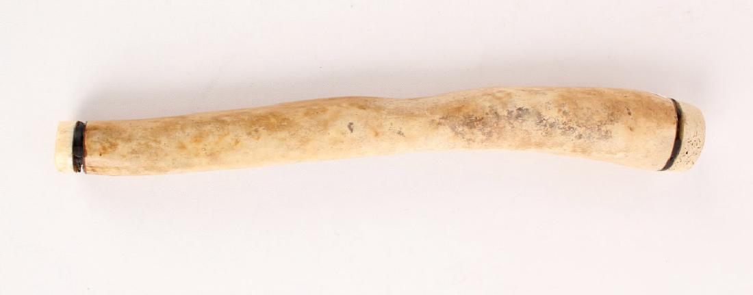 LARGE FOSSILIZED WALRUS BACULUM OOSIK (1 of 2)