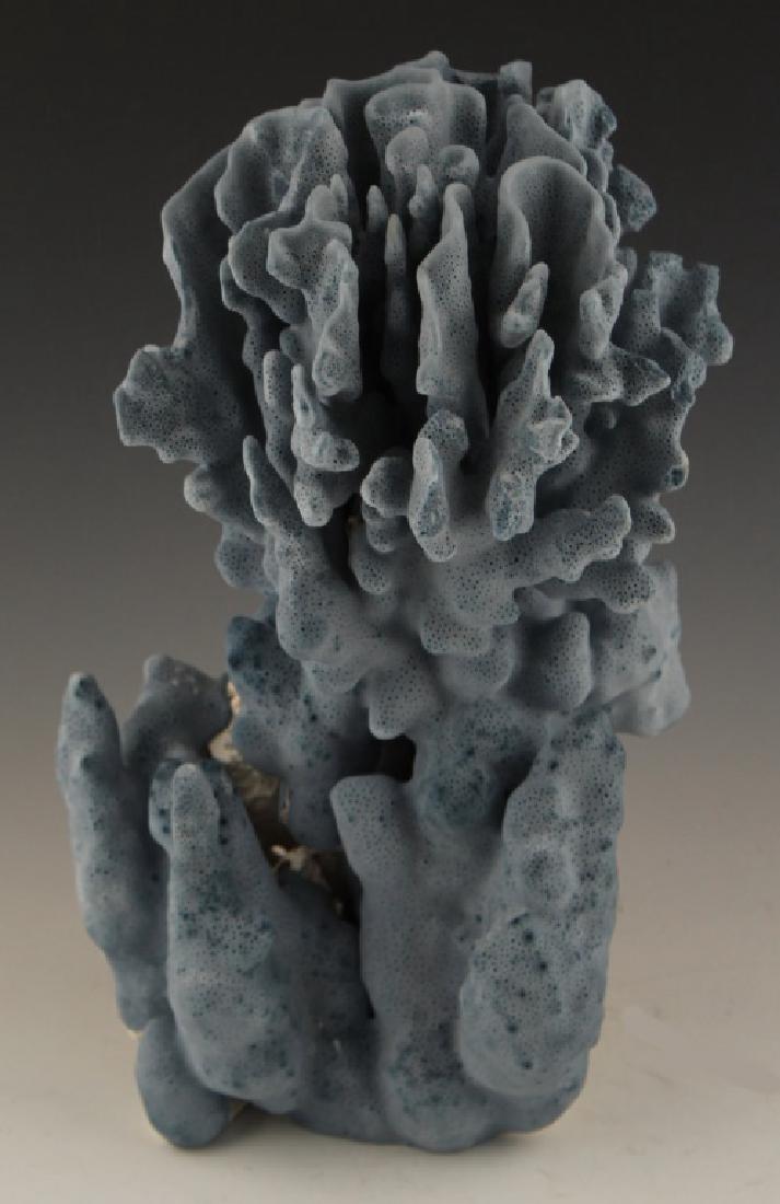 BLUE FOLDED CORAL SPECIMEN (1 of 4)