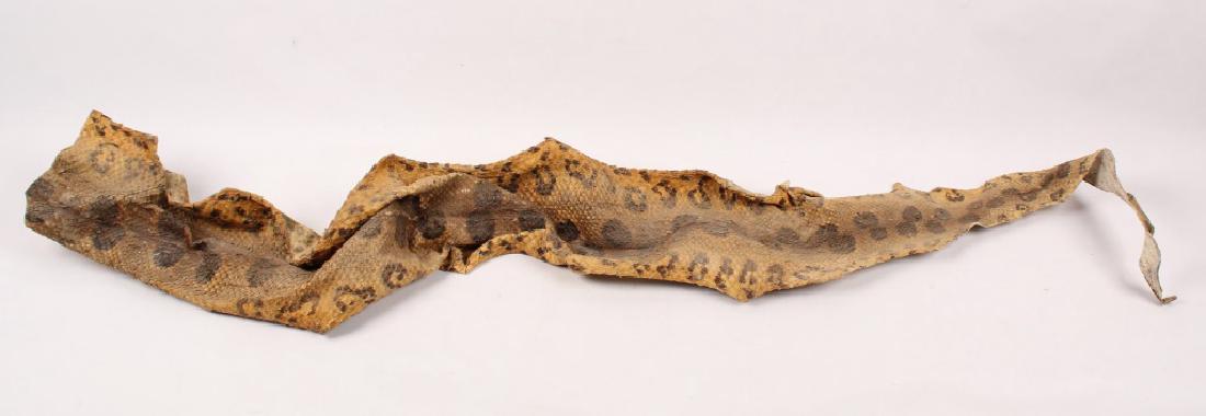 LARGE SPOTTED PYTHON SNAKE SKIN (1 of 3)