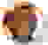 item-58006047=5
