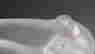 item-63081507=4