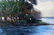 MICHAEL SCHOFIELD ORIGINAL OIL ON CANVAS - 2