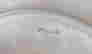 item-70334665=2