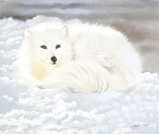 Original Rust Oil On Canvas Arctic Fox Painting Jul 27 2019