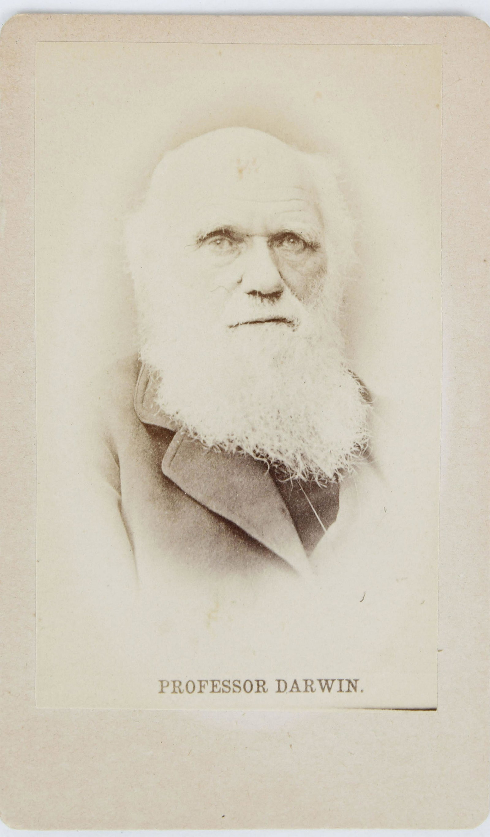 CHARLES DARWIN CARTES DE-VISITE PHOTOGRAPH CARD: Charles Robert Darwin (1809-1882) was an English naturalist, geologist and biologist, best known for his contributions to the science of evolution. His proposition that all species of life have descen