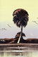 JAMES GIBSON FLORIDA HIGHWAYMEN MONOCHROMATIC - 2