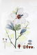LOT OF TWO HAND COLORED FLOWER PRINTS - 2