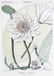 LOT OF TWO HAND COLORED FLOWER PRINTS - 3