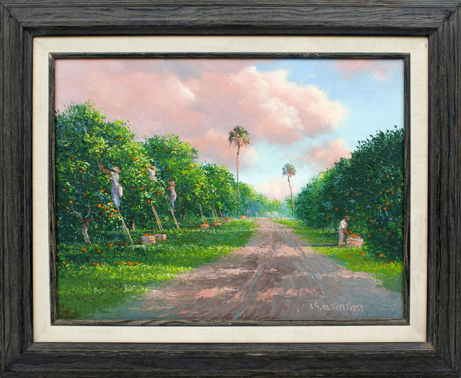 AHMED ELTEMTAMY FLORIDA ARTIST ORANGE GROVE (1 of 4)