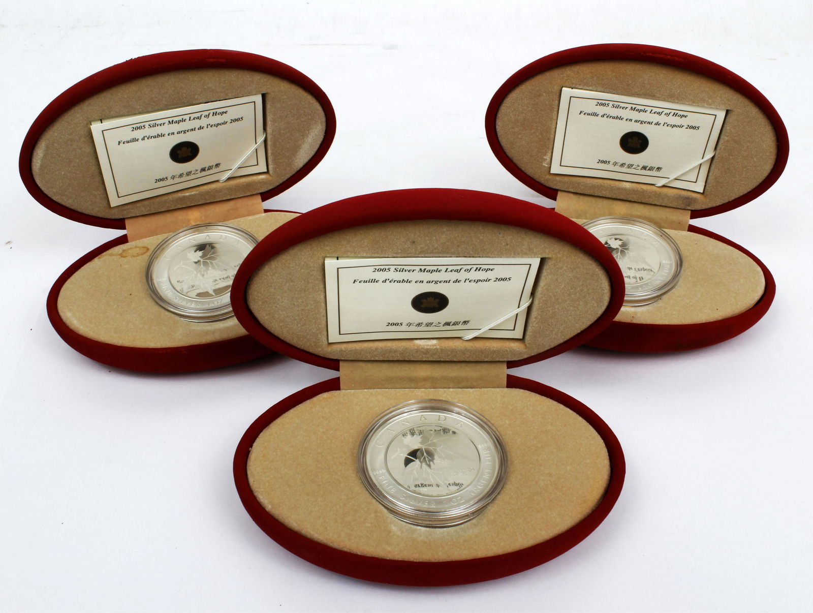 2005 SILVER MAPLE LEAF OF HOPE ROYAL CANADIAN MINT (1 of 4)