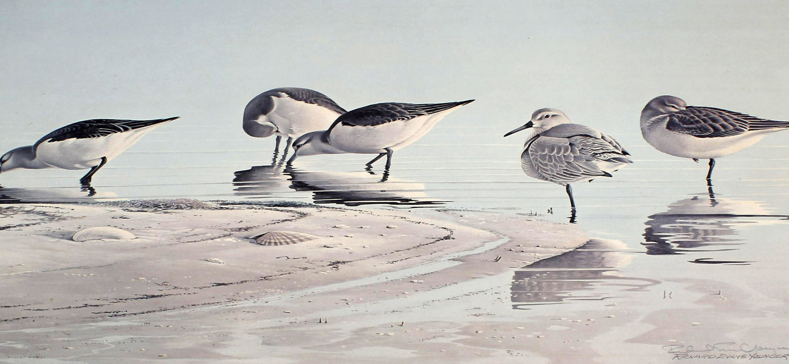 ARTIST PROOF PUBLISHERS LOT BIRDS (1 of 4)