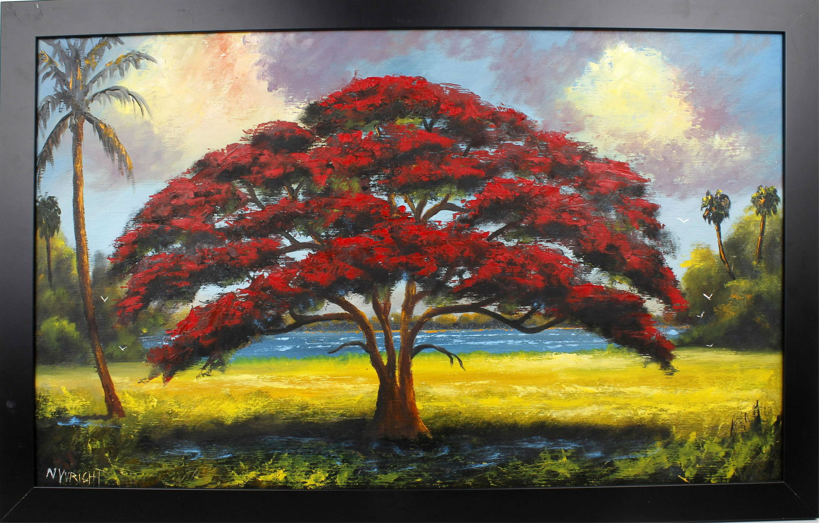 NORMAN WRIGHT FLORIDA ARTIST POINCIANA (1 of 4)