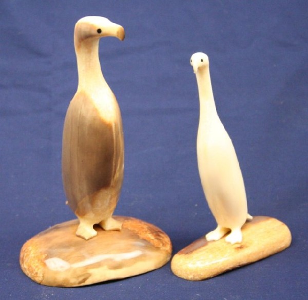 ALASKAN ESKIMO WALRUS TUSK IVORY CARVED BIRDS: ALASKAN ESKIMO WALRUS TUSK IVORY CARVED BIRDS A pair of walrus ivory carved birds. Both are signed "Antognime". Size: 4.5" & 5.5" Condition: VGC EST. $100-300