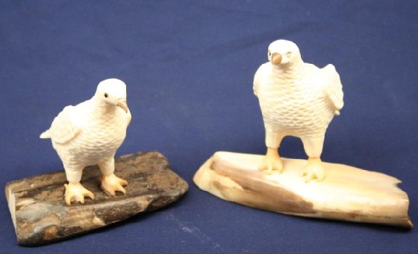 ALASKAN ESKIMO WALRUS TUSK IVORY CARVED BIRDS: ALASKAN ESKIMO WALRUS TUSK IVORY CARVED BIRDS A pair of walrus ivory carved birds. One is signed "Antognime". Size: 3.75" Condition: VGC EST. $100-300