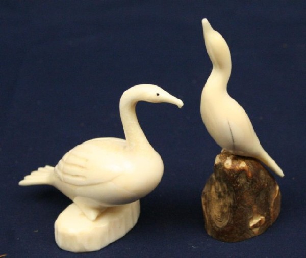 ALASKAN ESKIMO WALRUS TUSK IVORY CARVED BIRDS: ALASKAN ESKIMO WALRUS TUSK IVORY CARVED BIRDS A pair of walrus ivory carved birds. Both are signed. Size: 2.5" & 3.5" Condition: VGC EST. $100-200