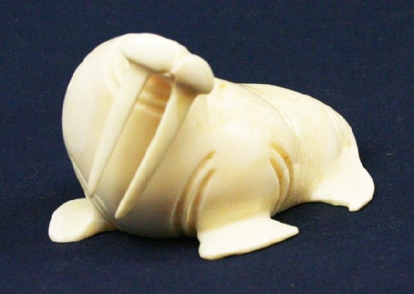 ALASKAN ESKIMO WALRUS TUSK IVORY WALRUS FIGURE: ALASKAN ESKIMO WALRUS TUSK IVORY WALRUS FIGURE A well detailed carved ivory walrus. Signed, "A.H.S." by the artist. Size: 3" Condition: VGC EST. $200-400