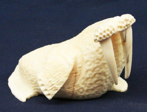 ALASKAN ESKIMO WALRUS TUSK IVORY WALRUS FIGURE: ALASKAN ESKIMO WALRUS TUSK IVORY WALRUS FIGURE A well detailed carved ivory walrus. Signed, "A.H.S." by the artist. Size: 3" Condition: VGC EST. $100-300