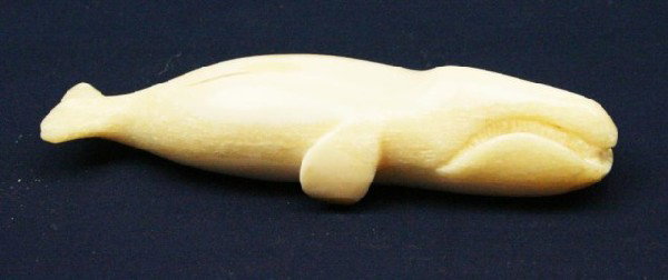 ALASKAN WALRUS TUSK IVORY CARVED WHALE: ALASKAN WALRUS TUSK IVORY CARVED WHALE Carving of a whale. Signed by the artist "Holden Jr A". Size: 5" Condition: VGC EST. $200-300