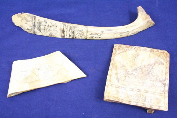 WHALE BONE SCRIMSHAW LOT OF 3: WHALE BONE SCRIMSHAW LOT OF 3 A whale scene scrimshaw on a flat piece of bone. A carved bone in relief with the name "Whaler Auk". A bone with a well executed ship scene with a scroll that reads "Ship