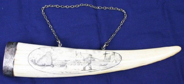 BRITISH SILVER TIPPED WALRUS IVORY TUSK SCRIMSHAW: BRITISH SILVER TIPPED WALRUS IVORY TUSK SCRIMSHAW Sterling silver mounted walrus tusk with a scene depicting the death of a crew man. The memorial to the reverse reads "In memory of Nathan Doyle, 2nd 