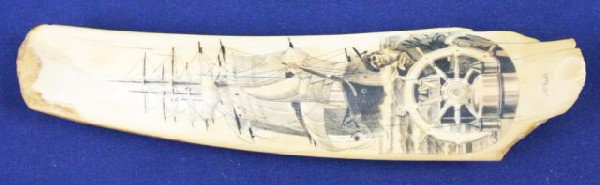 WALRUS TUSK IVORY SCRIMSHAW WHALING SCENE: WALRUS TUSK IVORY SCRIMSHAW WHALING SCENE A well executed whaling scene scrimshaw on a piece of semi-fossilized walrus tusk ivory. Signed by the artist "R Pauls". Size: 7.25" Condition: VGC EST. $100-
