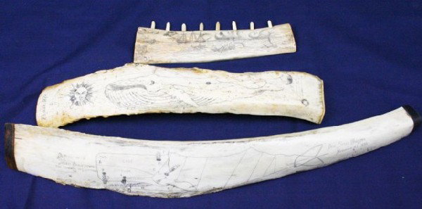 WHALE & DOLPHIN BONE SCRIMSHAW LOT OF 3: WHALE & DOLPHIN BONE SCRIMSHAW LOT OF 3 One marked "Pisces 1874" and with whale scrimshaw. One from the "Brig Steel Warrior, Newport 1881" with the outline of a sperm whale showing the manner of cutti