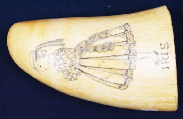 WHALE TOOTH SCRIMSHAW - PICTURE OF A YOUNG LADY: WHALE TOOTH SCRIMSHAW - PICTURE OF A YOUNG LADY Well executed scrimshaw of a young girl called "Iris". Mid 19th century. The reverse with an Iris Size: 5" Condition: VGC EST. $150-350