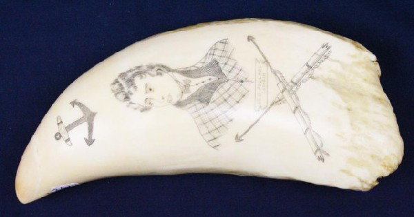 WHALE TOOTH SCRIMSHAW – WHALER ESSEX: WHALE TOOTH SCRIMSHAW ? WHALER ESSEX Well executed scrimshaw whale tooth showing the American whaler Essex, with whaling scene. The reverse shows a picture of the Captain George Pollard Size: 7" Condi