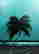 item-120331900=2