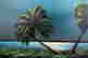 item-120331902=2