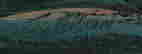 item-120331902=3