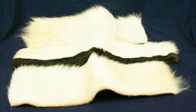 ALASKAN POLAR BEAR SKIN PIECES: ALASKAN POLAR BEAR SKIN PIECES A small lot of three pieces of polar bear skin. One is lined with fur. Size: Approx 30" x 6" Condition: VGC Est. 100-300
