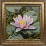 CAROL ANN KNAPP FLORIDA ARTIST PINK WATERLILY