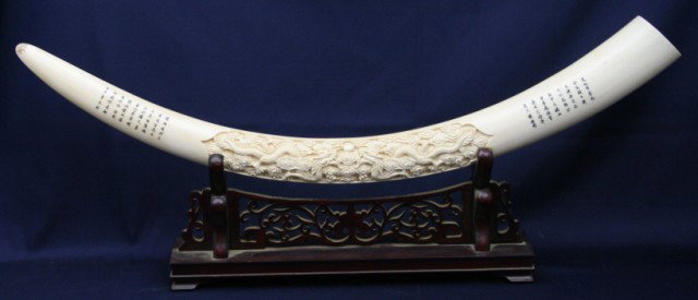 CARVED ELEPHANT IVORY TUSK - 2 DRAGONS: CARVED ELEPHANT IVORY TUSK - 2 DRAGONS A large carved Asian elephant tusk. Image is of 2 dragons. Size: 32.5" L x 13" tall on wood stand. Condition: VGC Est. $1200 - 1500