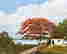 item-126614839=2