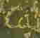 item-126614839=3