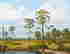 item-126614842=2