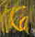 item-126614842=3