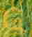 item-128437003=3