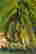 item-128437005=3