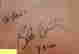 item-131005282=2