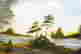 item-131005284=2