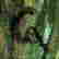 item-131005290=3