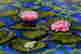 item-131005291=2